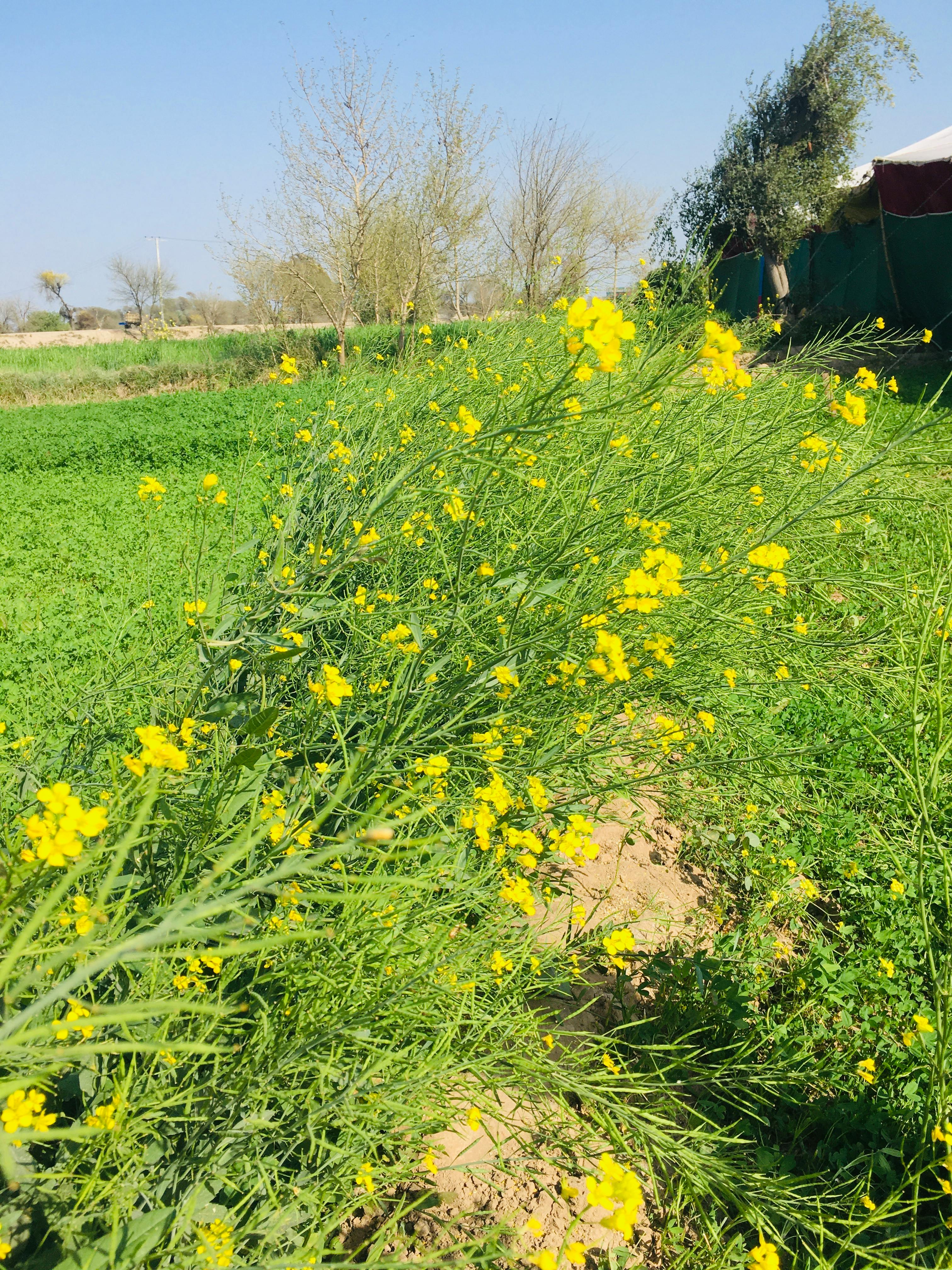 Kalp Sağlığınızı Koruma Rehberi: Hastalıklardan Korunma Yolları ve Öneriler