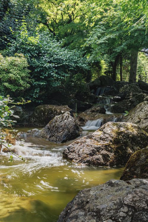 Free Tranquil waterfall flowing over rocks surrounded by lush green forest in Bonn, Germany. Stock Photo