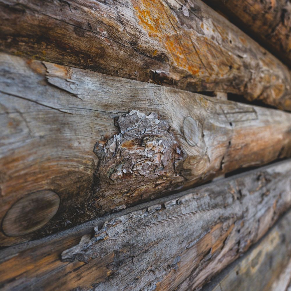 Fence and Decking Painting in Finsbury Park — woodwork brushed to a crisp, smooth line