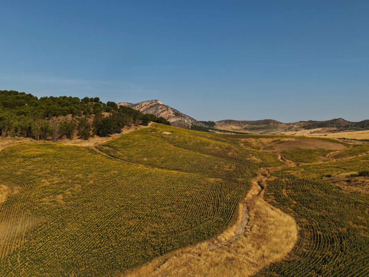 Retiros Asturias 1