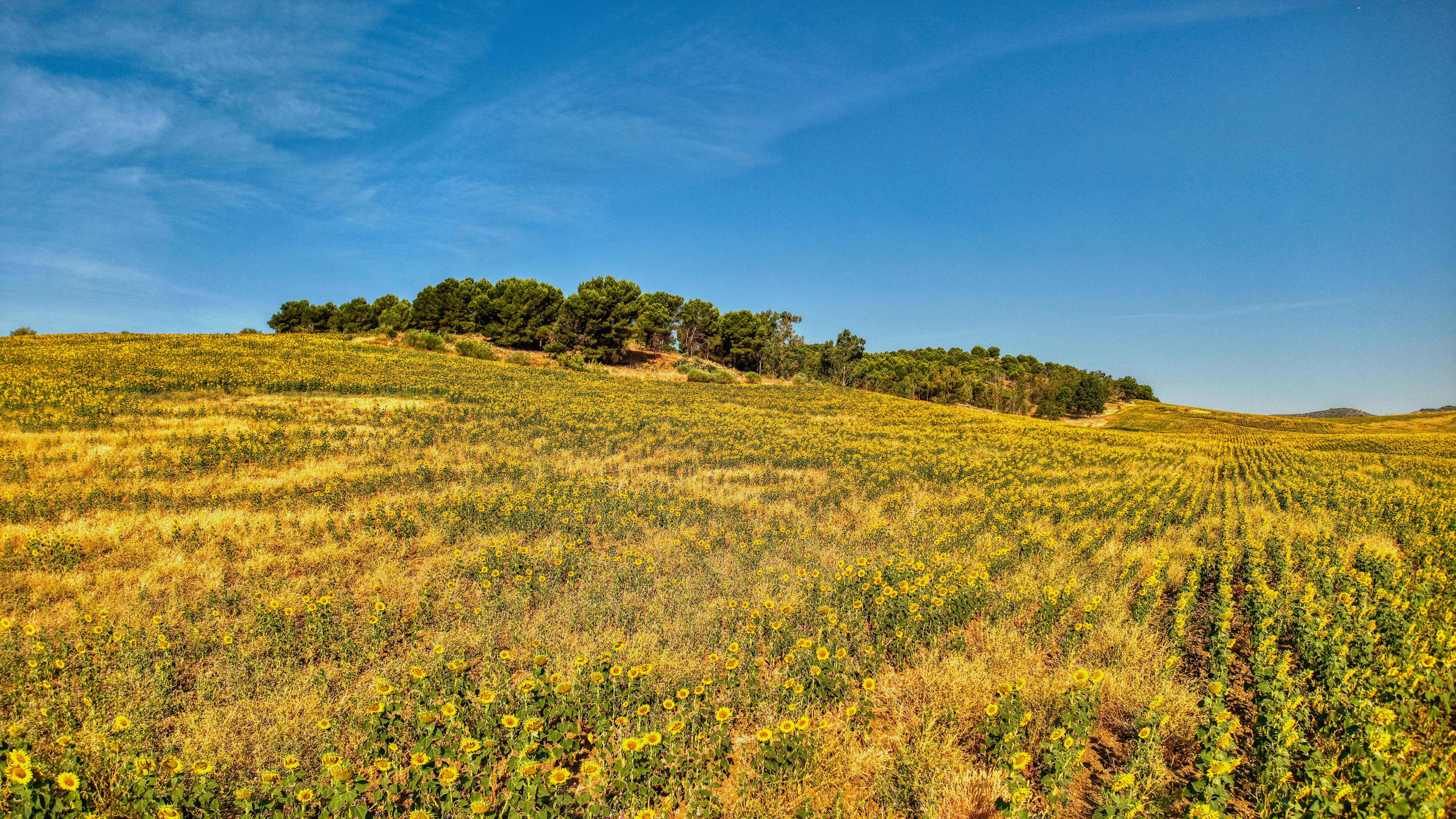 The village of Inland Málaga in inland Málaga