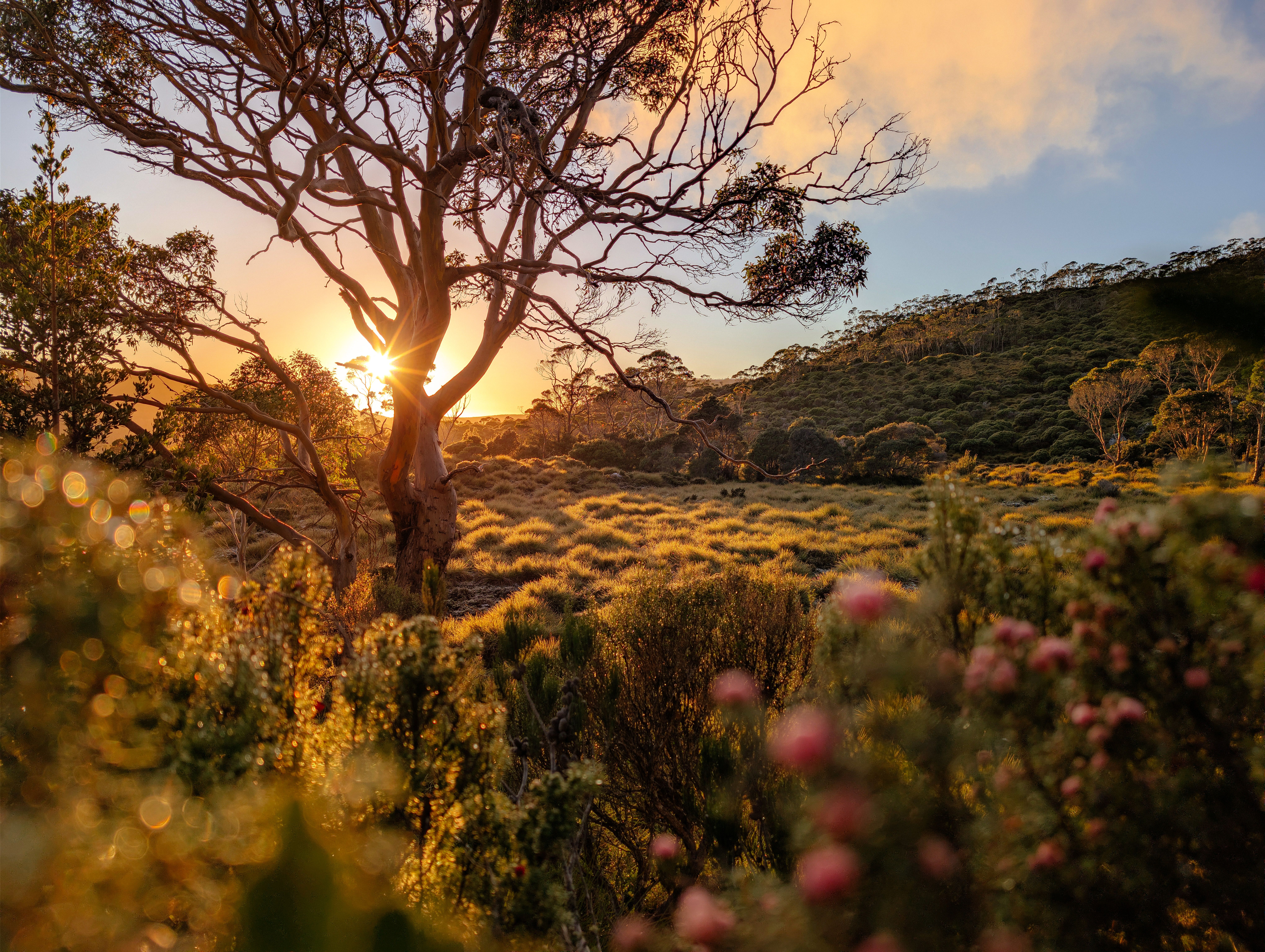 3 Day Compass: Yoga & Sound Healing Experience in Australia 3
