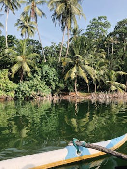 Peaceful tropical scene with canoe on a lush Sri Lankan lagoon.
