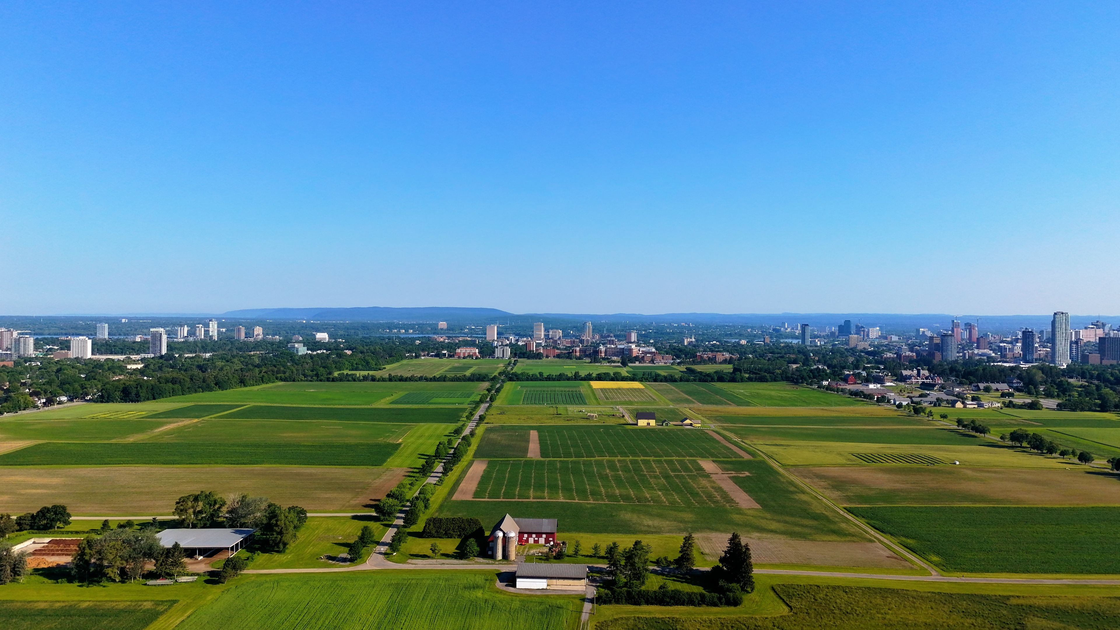 What Nobody Tells You About Kansas City's 2026 World Cup Football Experience