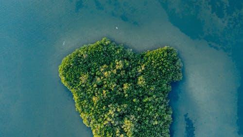 Základová fotografie zdarma na téma barva, cestování, denní světlo