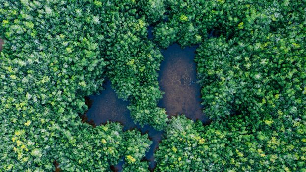 Noi reglementări pentru protejarea biodiversității în România