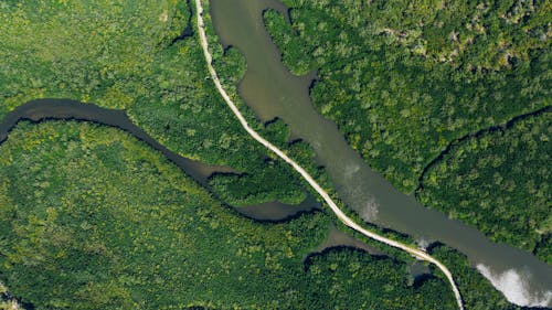 Ilmainen kuvapankkikuva tunnisteilla droonikuva, ilmakuvaus, joki