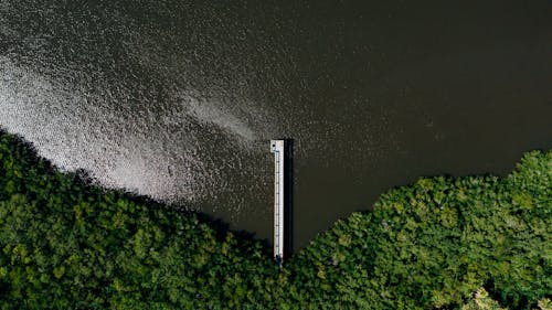 Kostenlos Luftaufnahme Von Grünen Bäumen Und Gewässern Stock-Foto