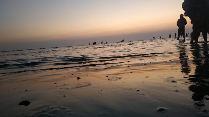 Person resting on couch with blanket