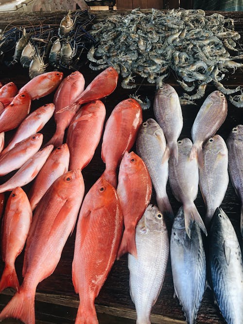 Red and Silver Fish on Market