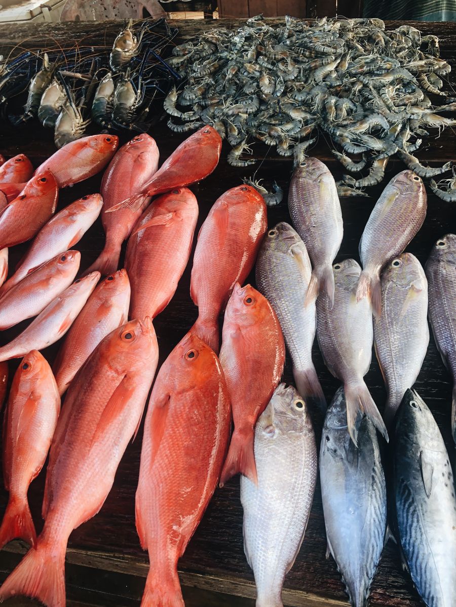 Sprats