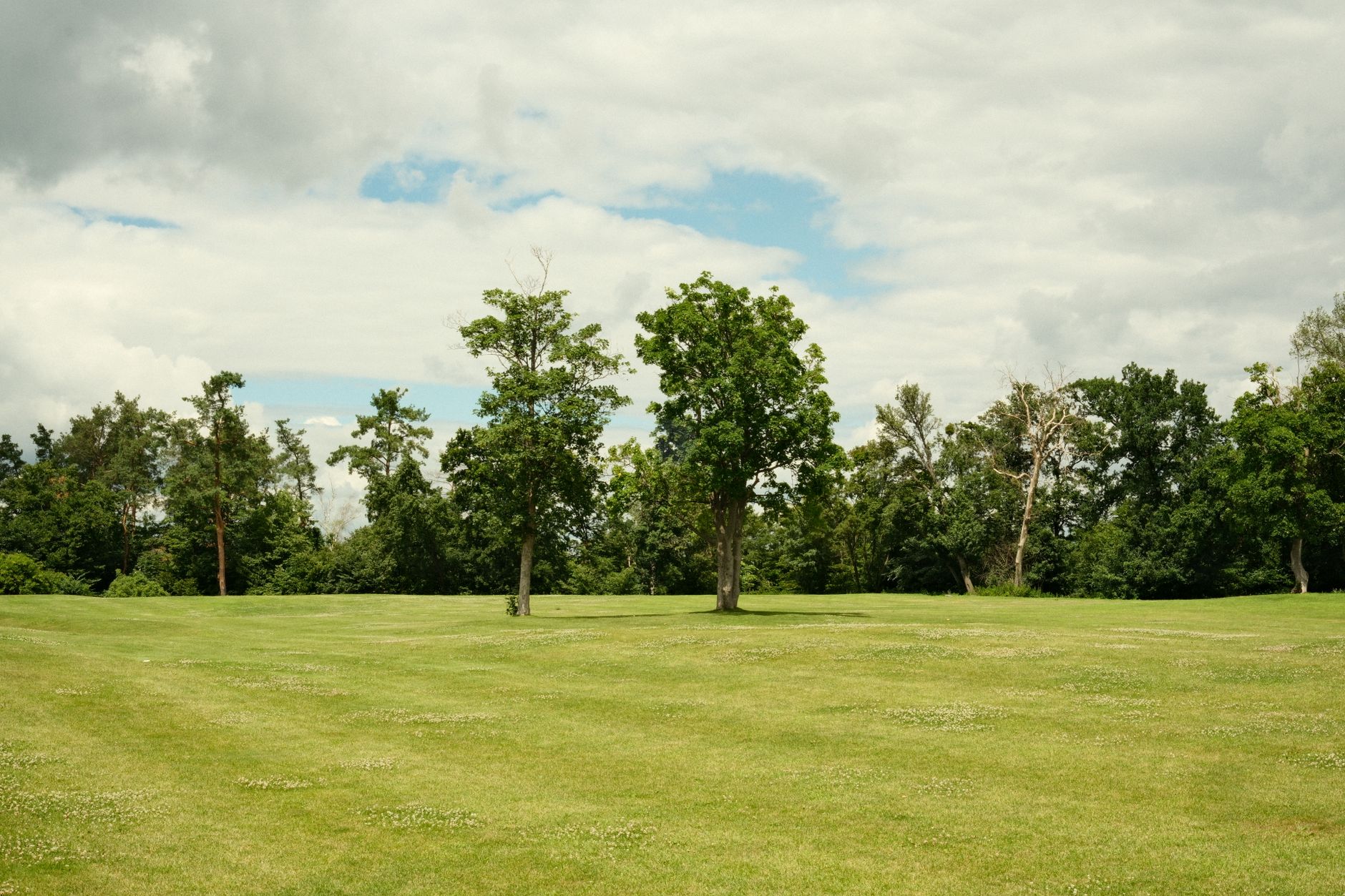 Lush green park landscape with trees under a partly cloudy sky, creating a serene summer s