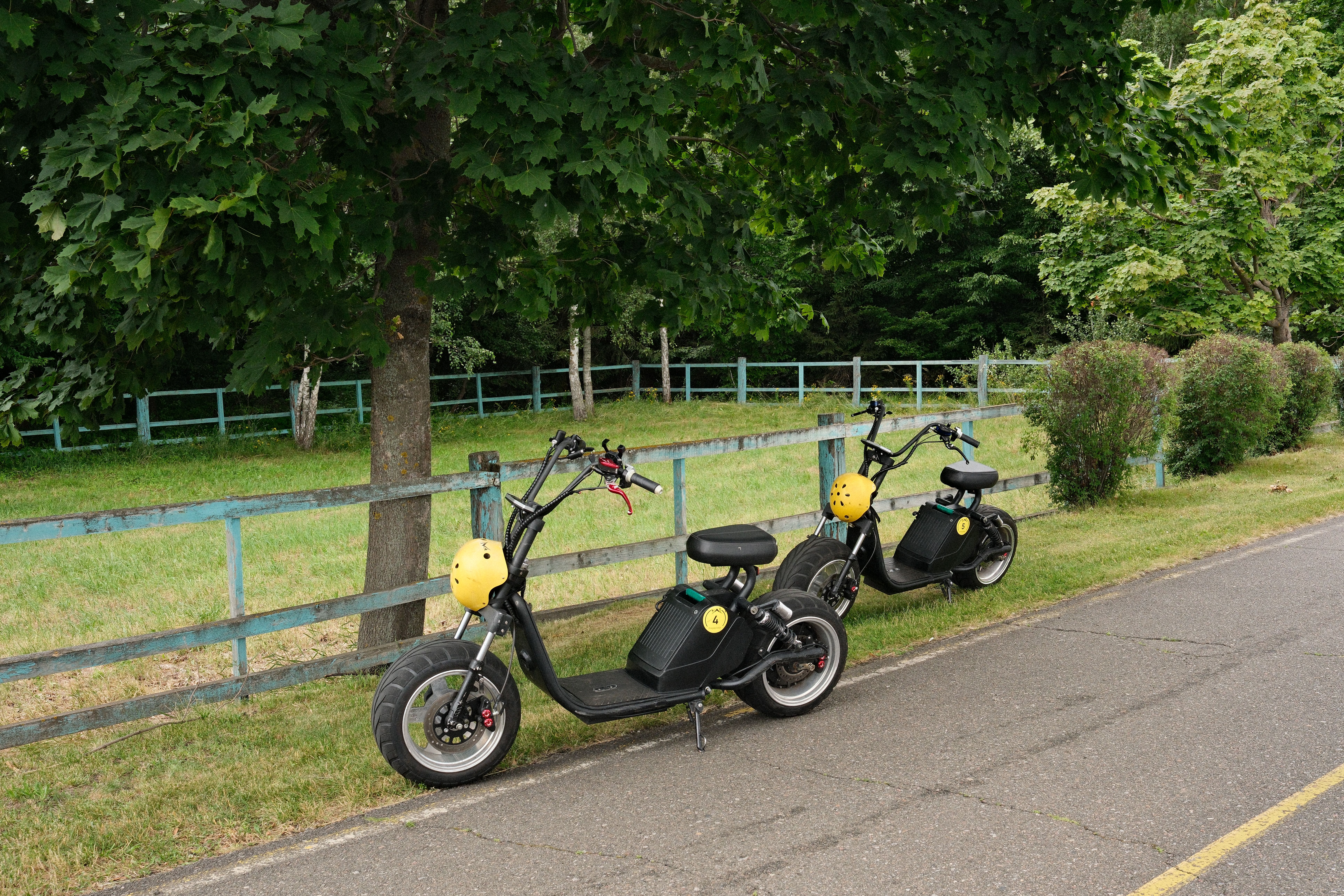 Two electric scooters with helmets parked beside a tree-lined country road