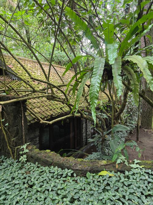 Free A quaint cabin shrouded in dense jungle foliage, showcasing the serene beauty of nature in Indonesia. Stock Photo