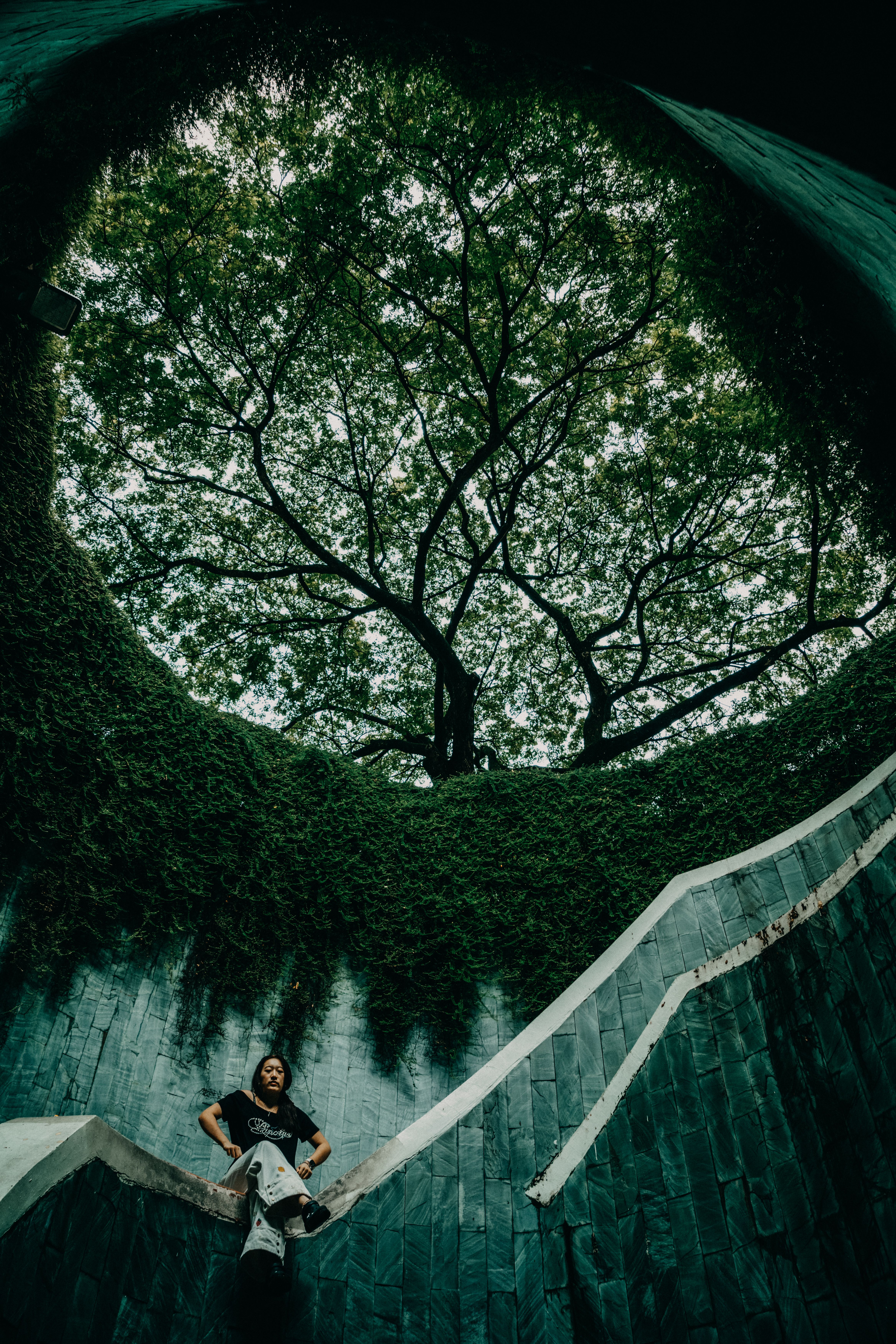 Artistic view of a person on a spiral staircase under a majestic tree.