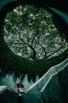 Artistic view of a person on a spiral staircase under a majestic tree.