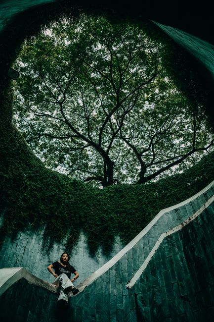Artistic view of a person on a spiral staircase under a majestic tree.