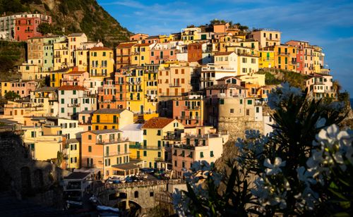 Free Vibrant homes of Manarola, Italy basking in sunlight on a coastal cliff. Stock Photo
