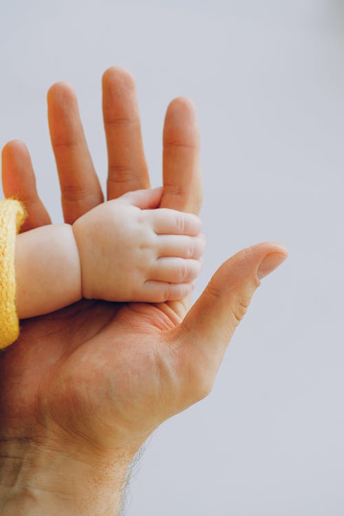 Free Person Holding Babys Hand Stock Photo