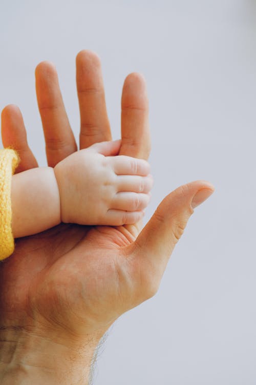 Ingyenes stockfotó apró, aranyos, baba témában