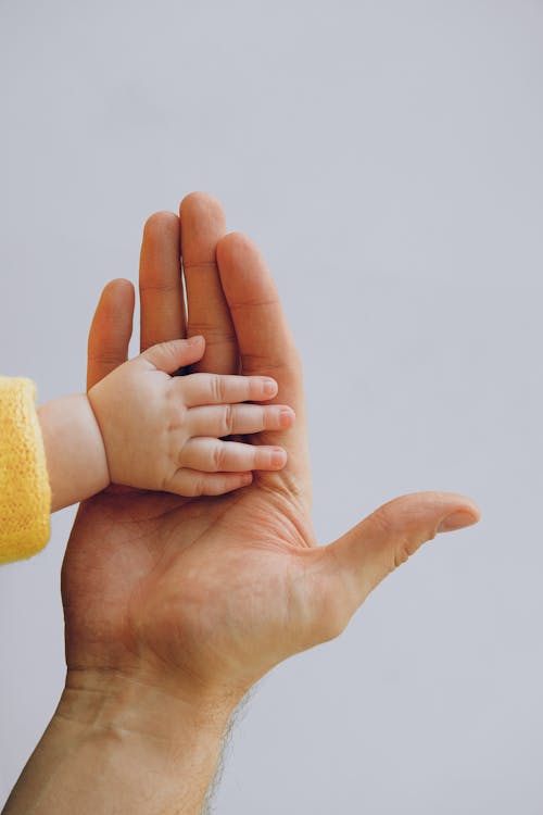 Free Crop anonymous baby in warm wear holding hand on palm of crop parent while standing against white background in studio Stock Photo