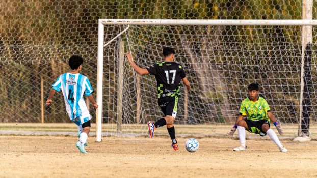 Soccer match captures player attempting goal against skilled goalkeeper.