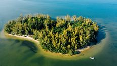 Aerial view of picturesque island with growing bright trees near picturesque ocean and motor boat in daylight in summertime