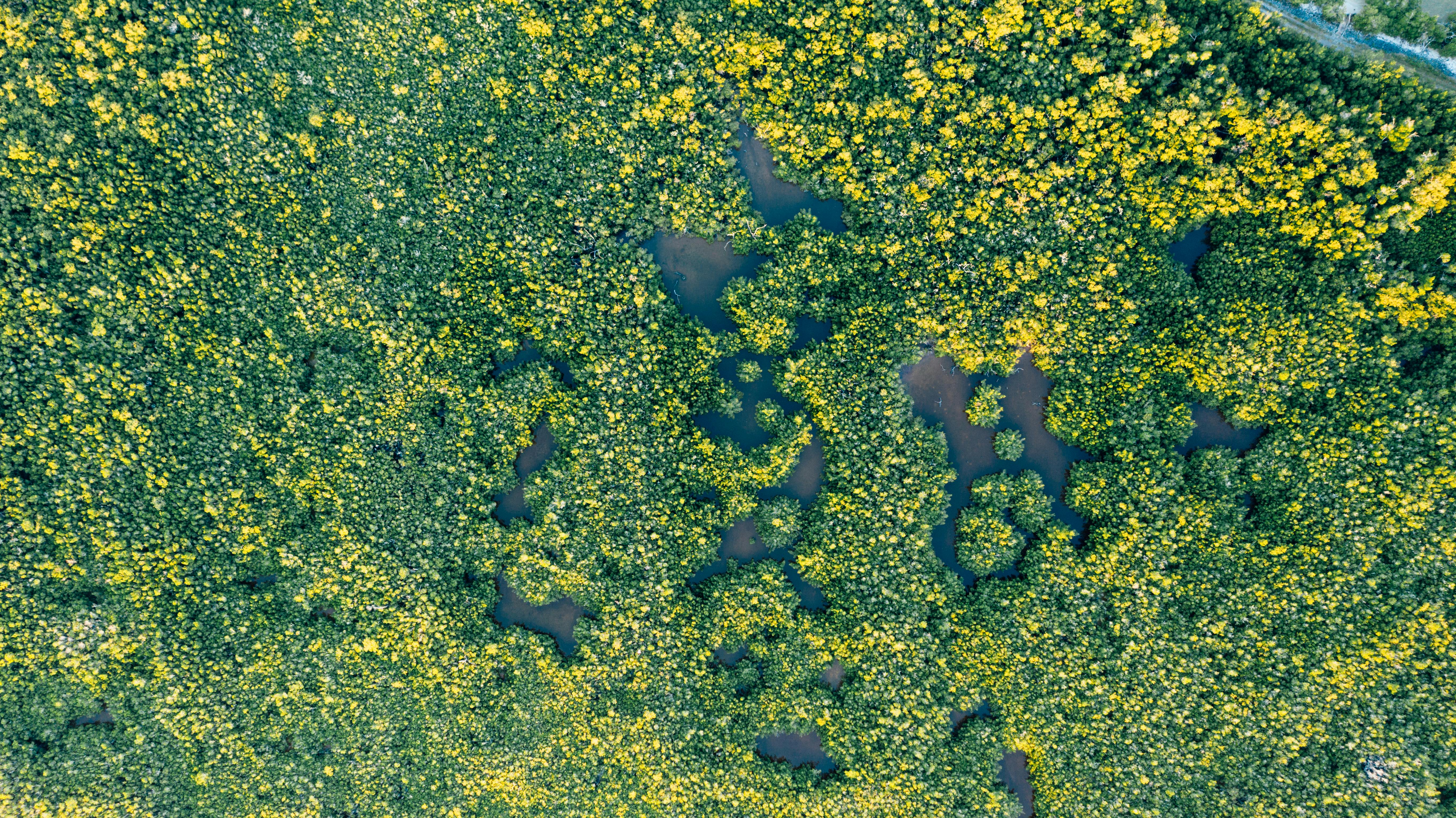 Zones en Permaculture : Favorisez la Biodiversité et la Durabilité