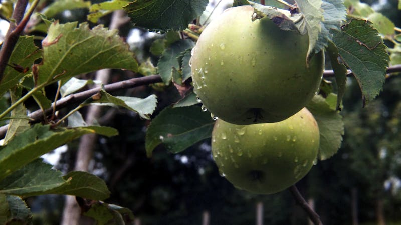 Acqua Di Giò Profondo Parfum displayed alongside other luxury fragrances