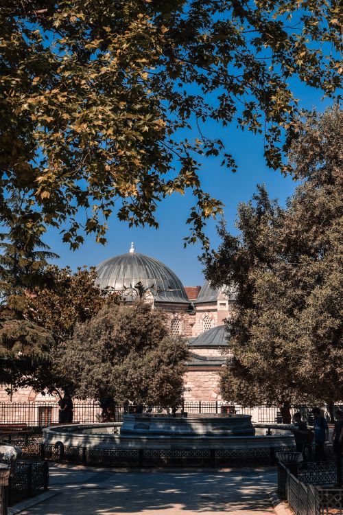 Free A historic mosque with domed roofs framed by lush trees under a clear blue sky. Stock Photo