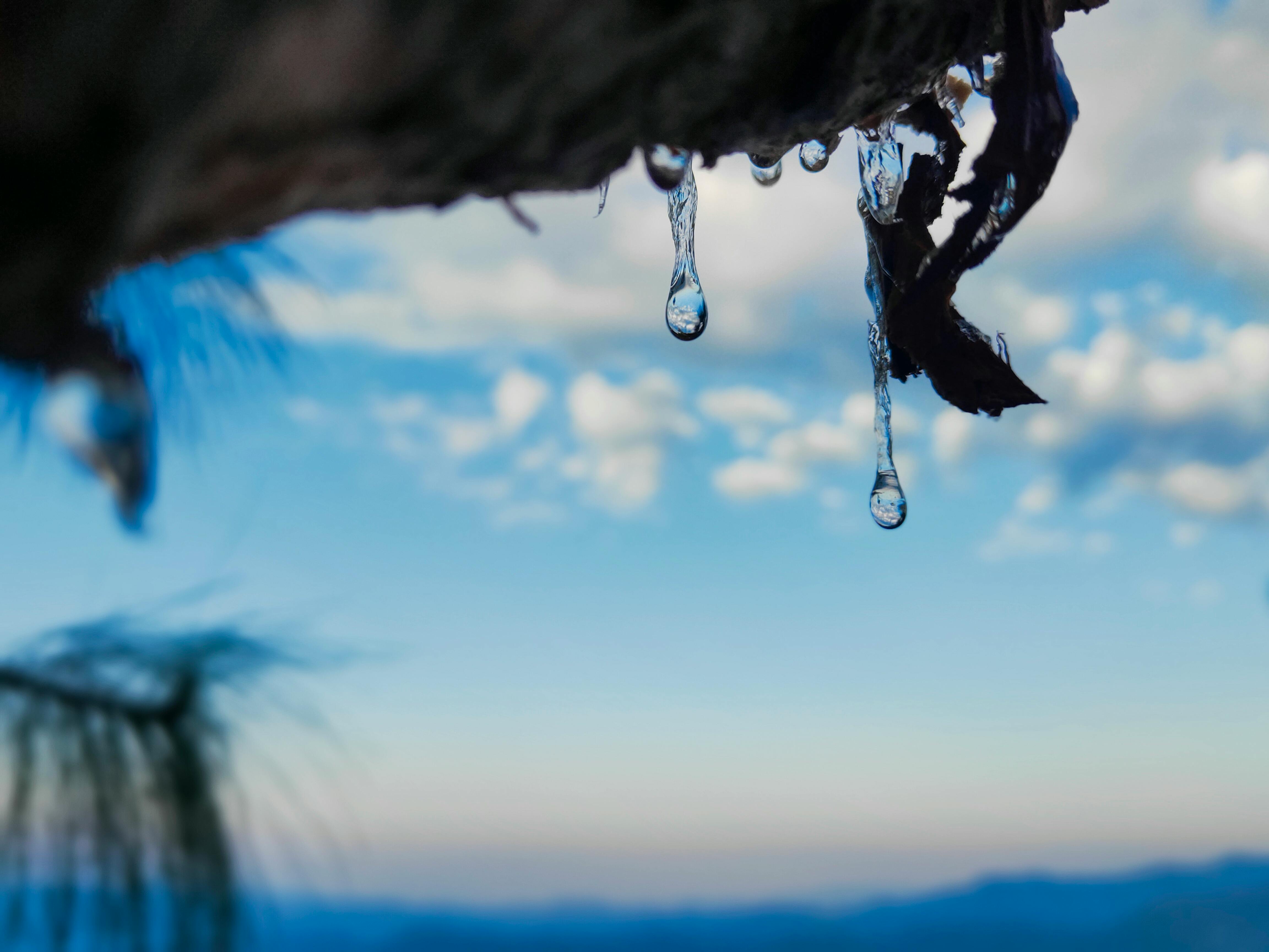 Nahaufnahme von Blutröhrchen in einem Labor, die verschiedene Blutgruppen symbolisieren.