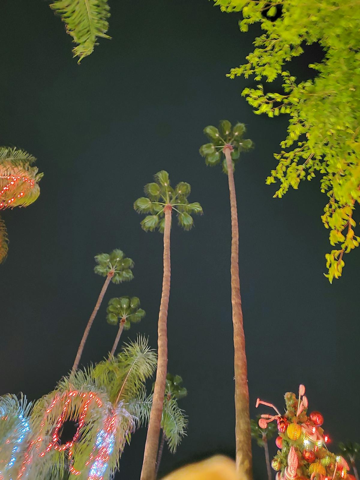Parent playing with young child on the floor with toys