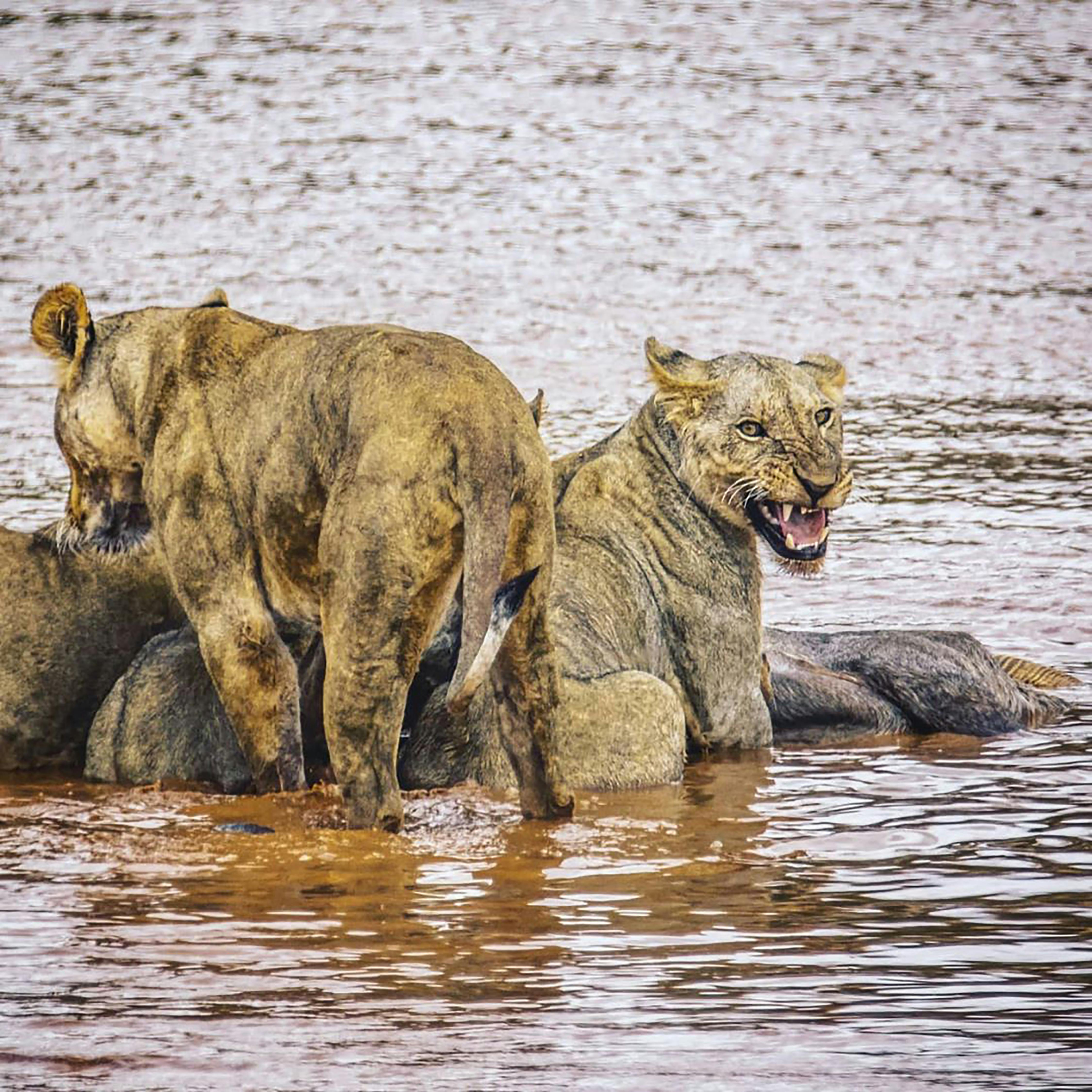 Woman sitting in bed writing in a journal before sleep to calm her mind