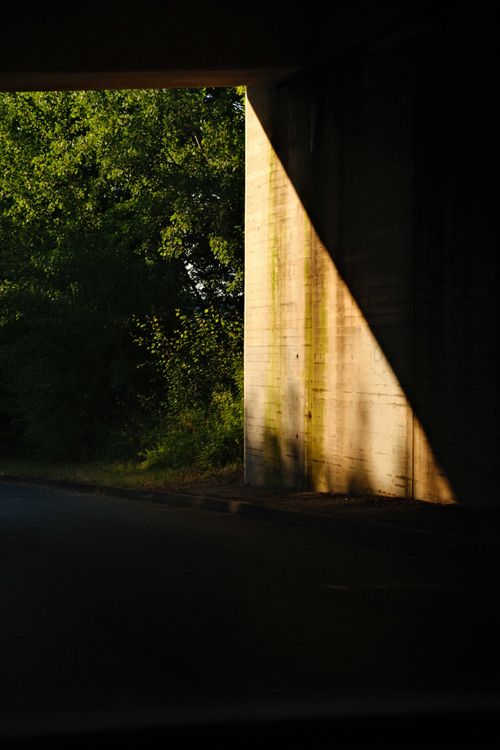 Free Dramatic interplay of shadows and sunlight under an overpass, with lush green trees. Stock Photo