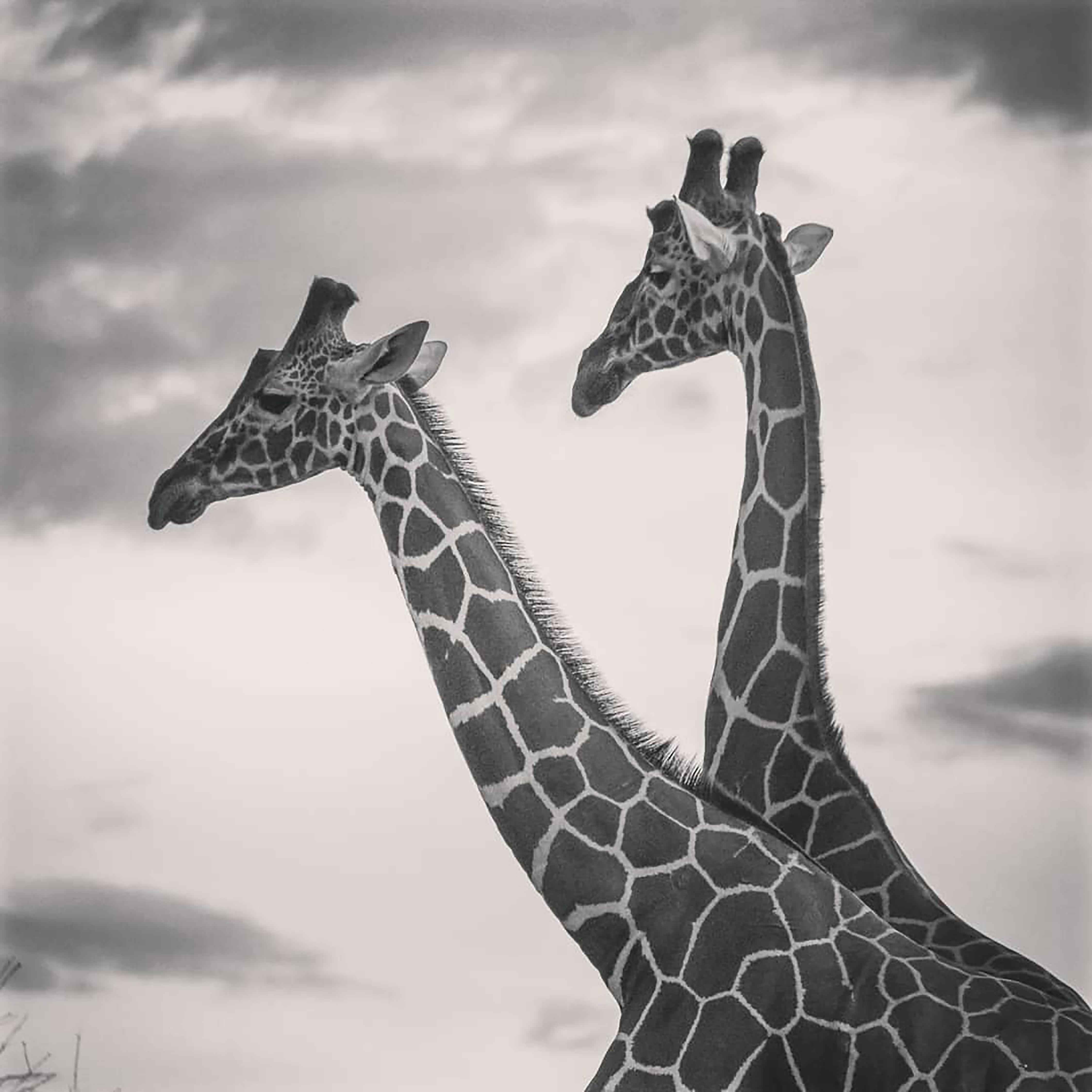 Esthetics Dental Clinic Reception