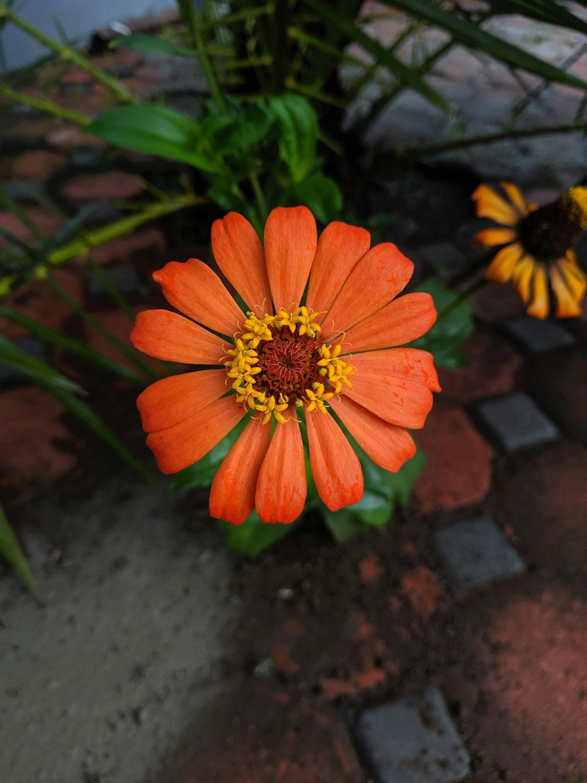 Emergency Dentistry photo 2