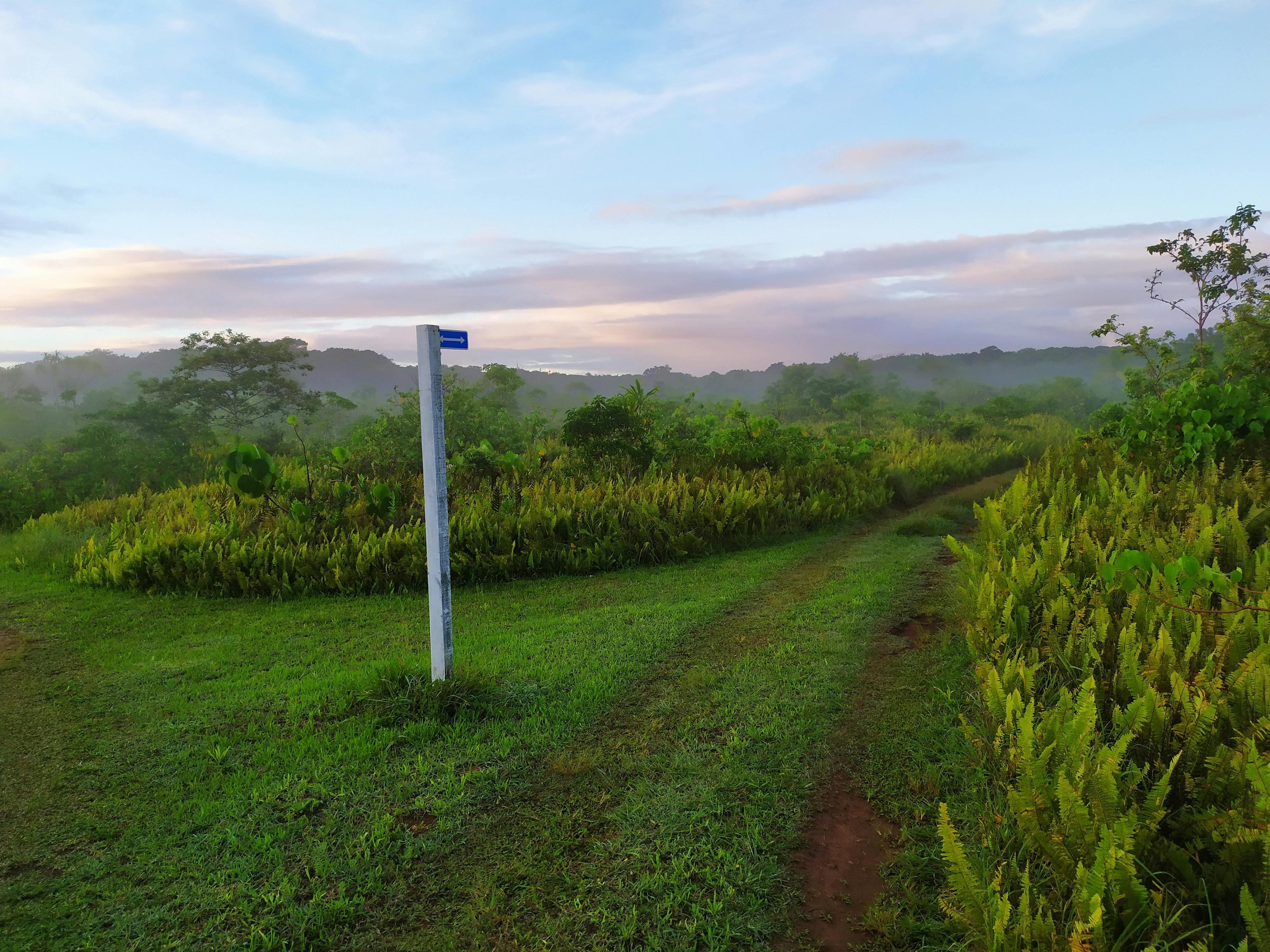 Portrait of Dr. Hudson, smiling warmly
