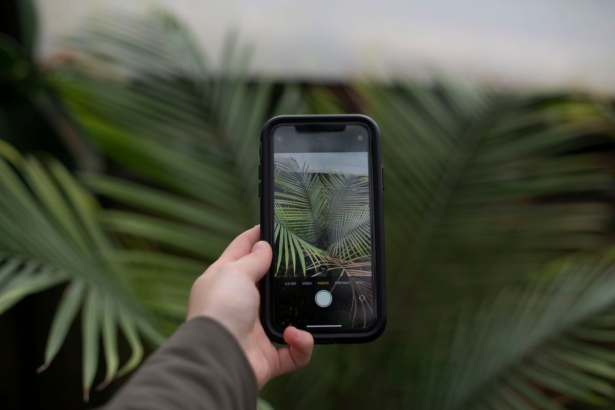 Akıllı telefon tutan bir kişi tropikal tatil ortamında rahat bir şekilde oturuyor