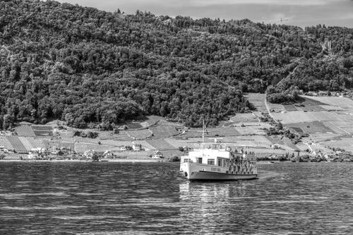 Free A boat sails on Lake Biel with vineyards in the background, Switzerland. Stock Photo