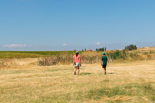 Free Two people walk through a golden field in Valdunquillo, Spain under a clear blue sky. Stock Photo