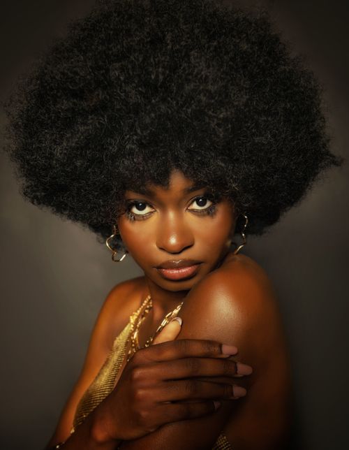 Free Elegant portrait of an African woman with an afro hairstyle and gold jewelry, embracing natural beauty. Stock Photo