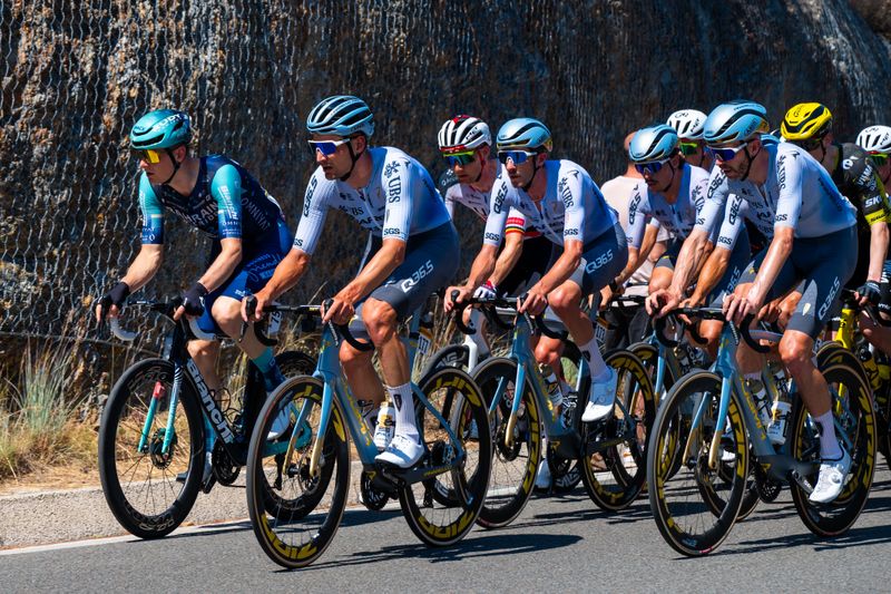 A group of professional cyclists racing on a sunlit road, showcasing intense competition.