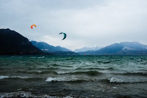 Základová fotografie zdarma na téma barevný, čeření, harmonie