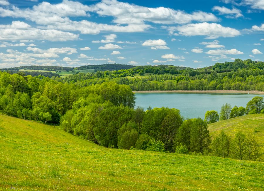 A picturesque view of rolling green hills and a lake in Podlasie, Poland, under a clear blue sky.