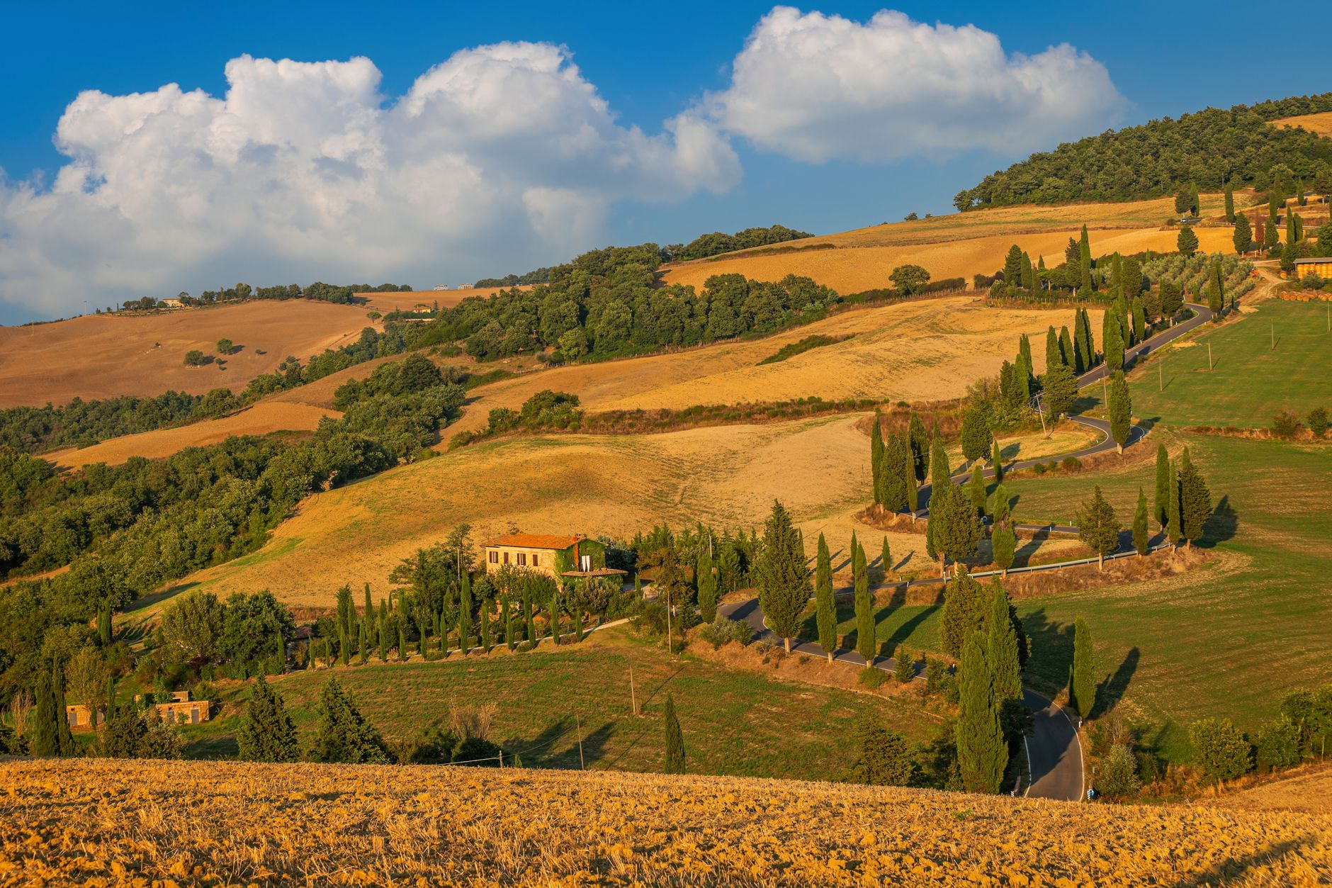 Capture the serene beauty of Tuscany's rolling hills and iconic cypress trees.