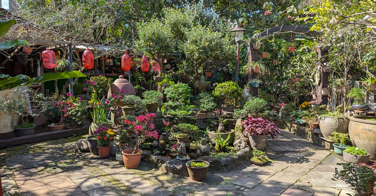 Why Your Garden Always Looks 'Messy' (And What Actually Works for Effortless, Year-Round Beauty)