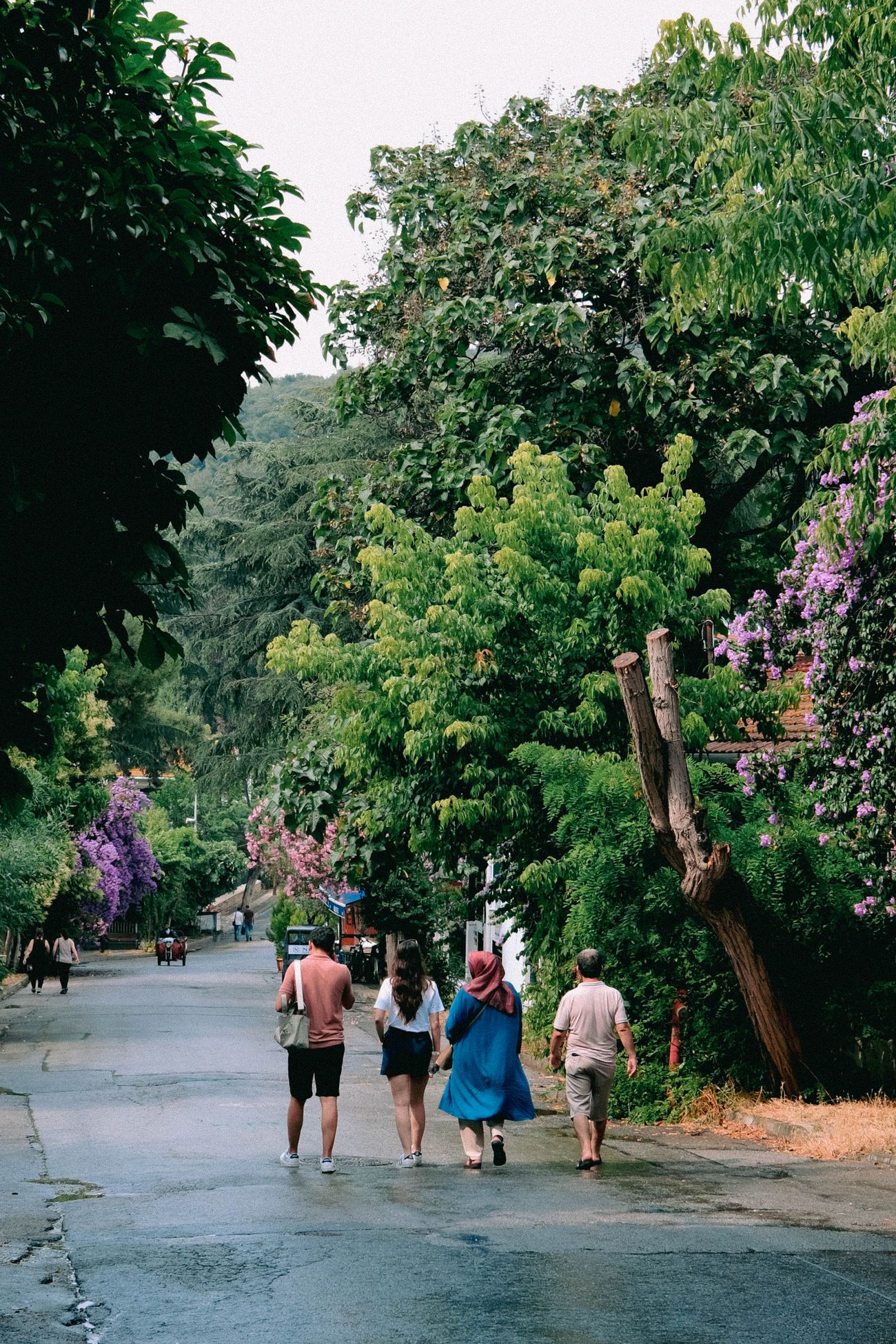 Four neighbours walking together down a lush, tree-lined residential street in summer — photo by Daka on Pexels