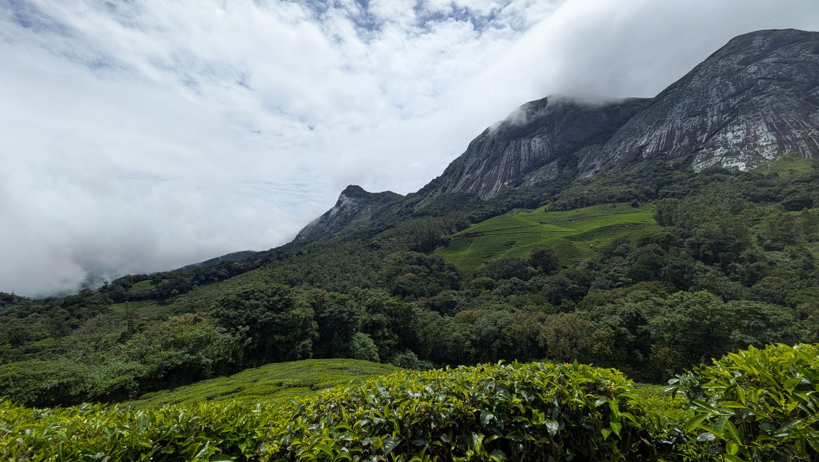 Romantic Kerala — Kochi, Munnar, Thekkady, Alleppey