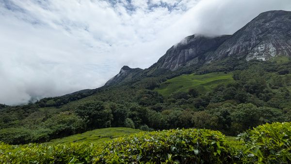 Kochi - God's Own Country: Kerala - Stays