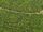 crops